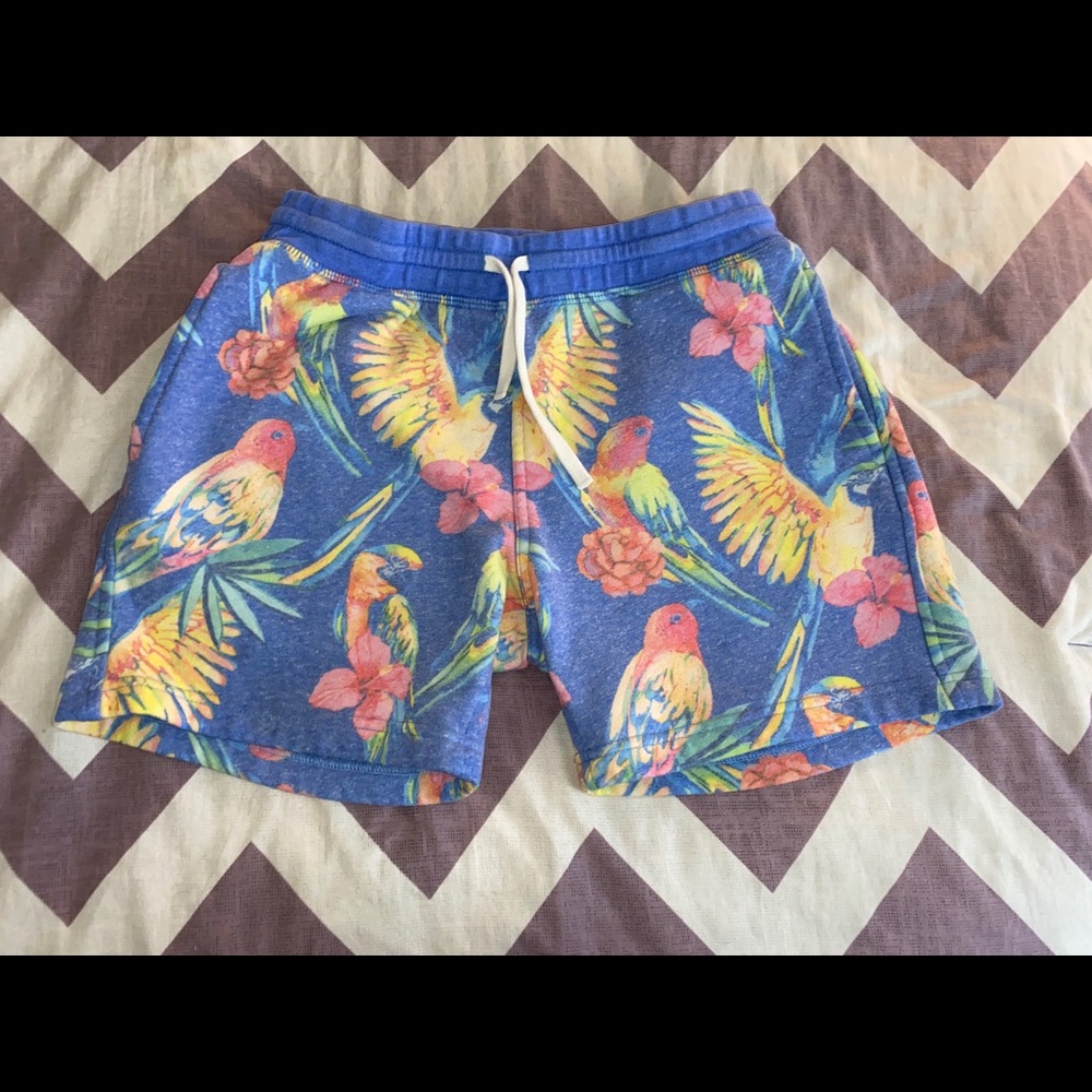 Chubbies Sweatpant Shorts